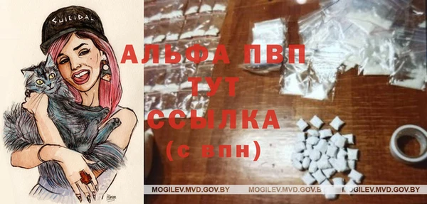 гашик Заволжск